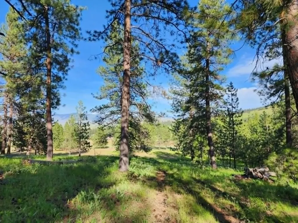 Nhn Old Hot Springs Road Hot Springs MT 59845