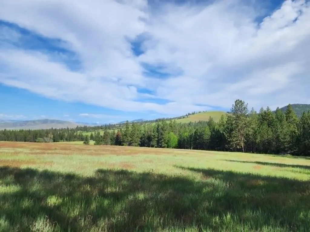 Nhn Stobie Lane Hot Springs MT 59845