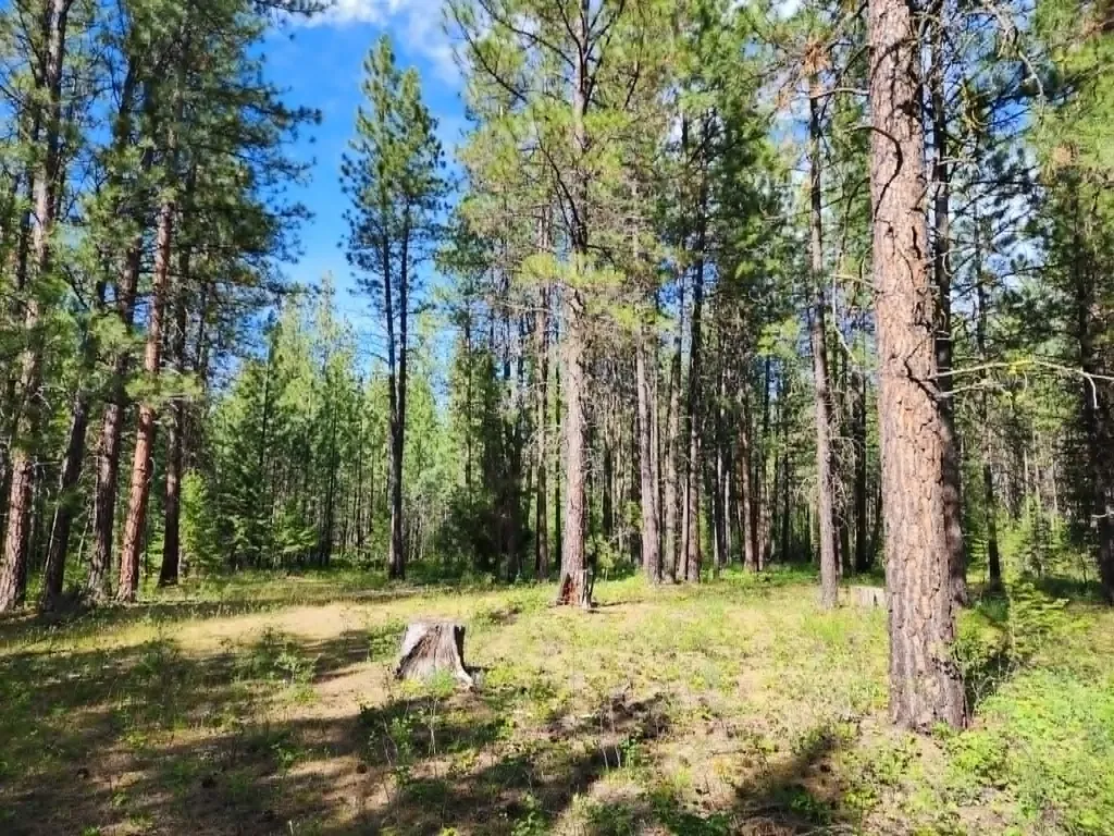 Nhn Old Hot Springs Road Hot Springs MT 59845