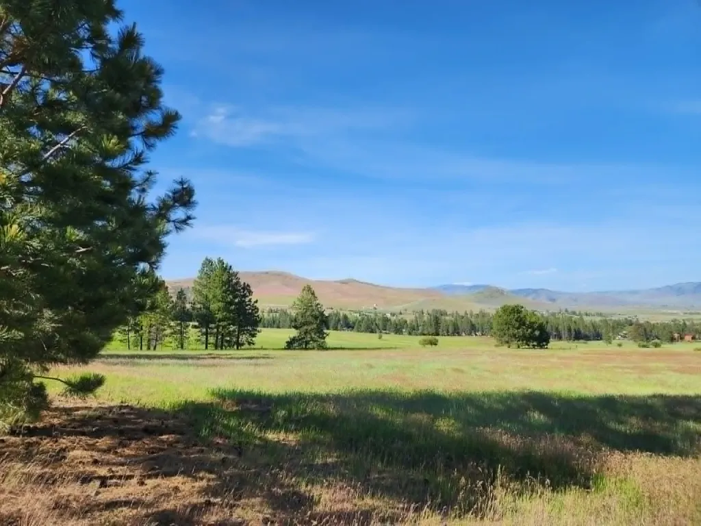 Nhn Stobie Lane Hot Springs MT 59845