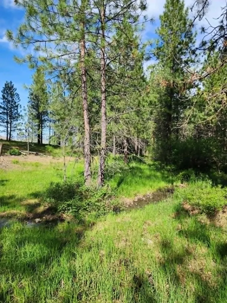 Nhn Stobie Lane Hot Springs MT 59845