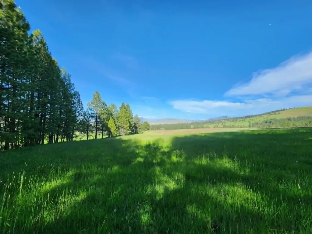 Nhn Stobie Lane Hot Springs MT 59845