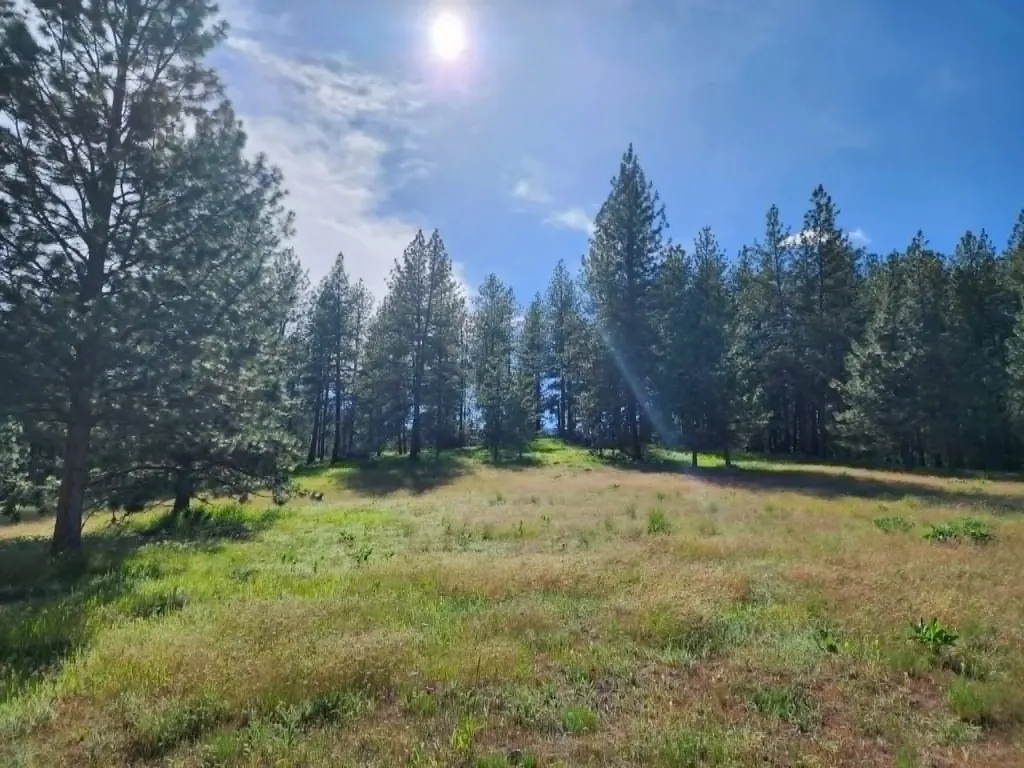 Nhn Old Hot Springs Road Hot Springs MT 59845