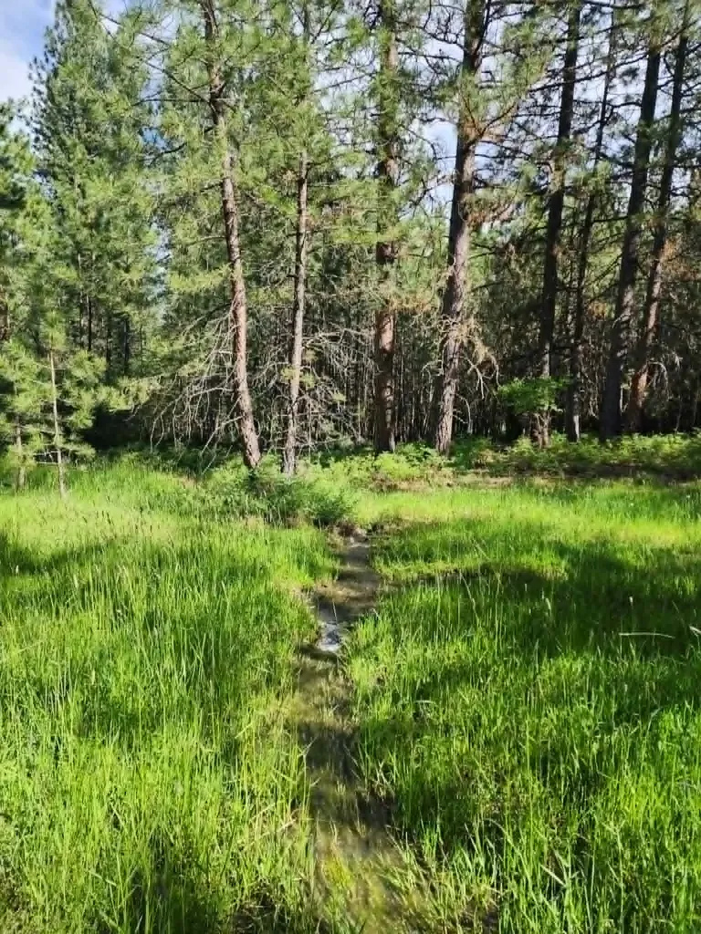 Nhn Stobie Lane Hot Springs MT 59845