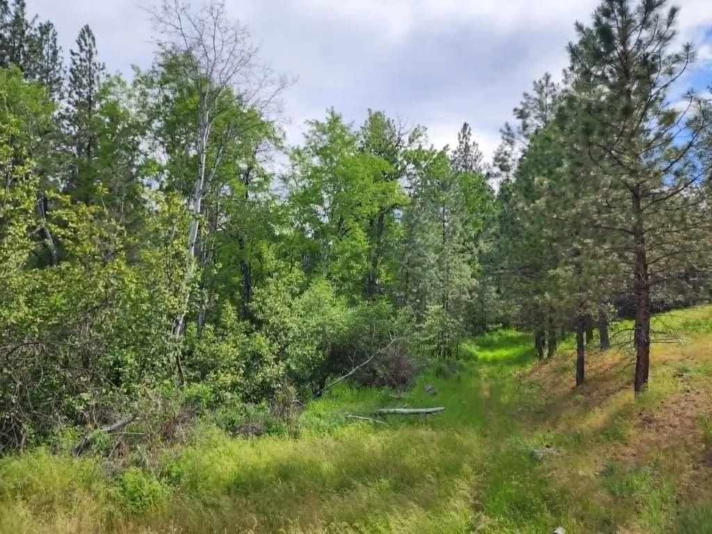 Nhn Old Hot Springs Road Hot Springs MT 59845