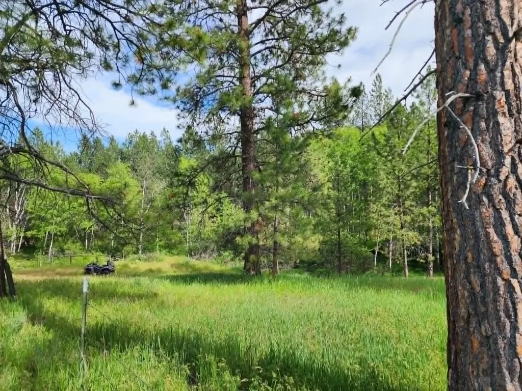 Nhn Old Hot Springs Road Hot Springs MT 59845