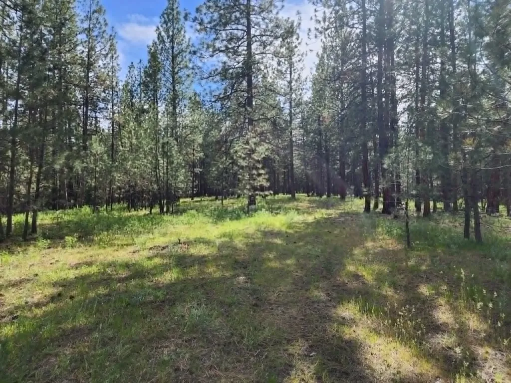 Nhn Stobie Lane Hot Springs MT 59845