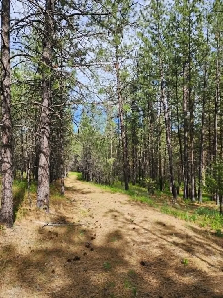 Nhn Old Hot Springs Road Hot Springs MT 59845