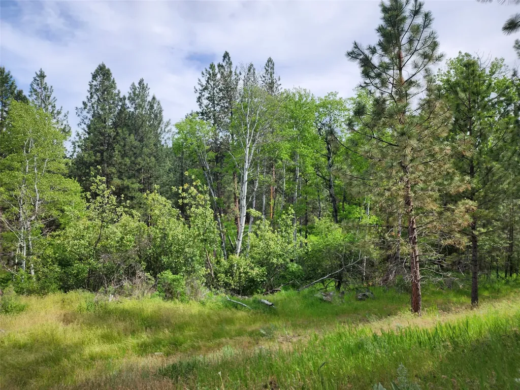 Nhn Old Hot Springs Road Hot Springs MT 59845