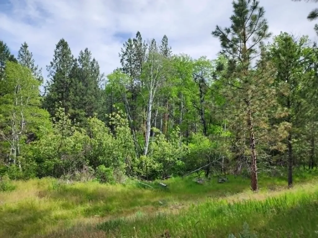 Nhn Old Hot Springs Road Hot Springs MT 59845