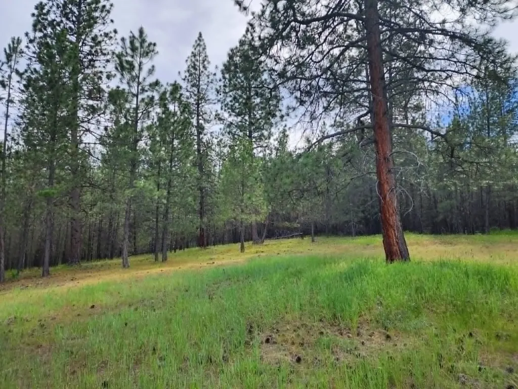 Nhn Old Hot Springs Road Hot Springs MT 59845