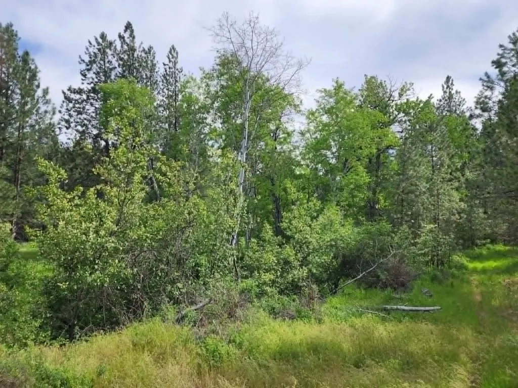 Nhn Old Hot Springs Road Hot Springs MT 59845