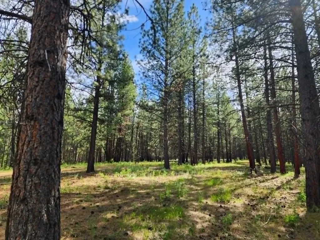 Nhn Old Hot Springs Road Hot Springs MT 59845