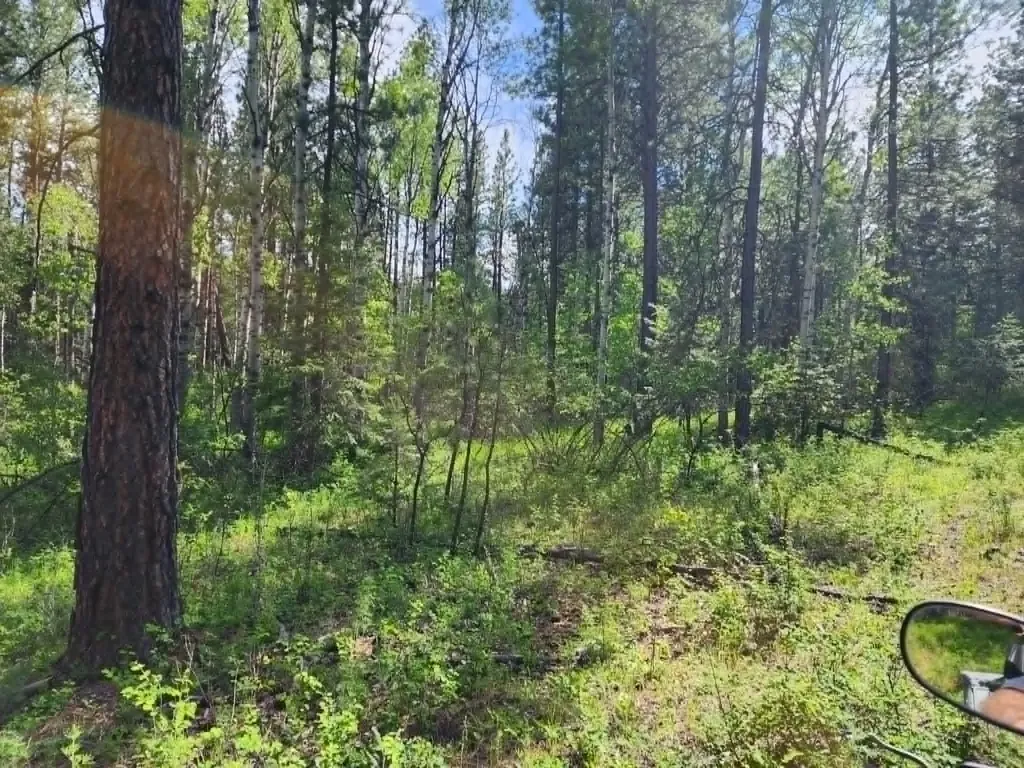 Nhn Stobie Lane Hot Springs MT 59845