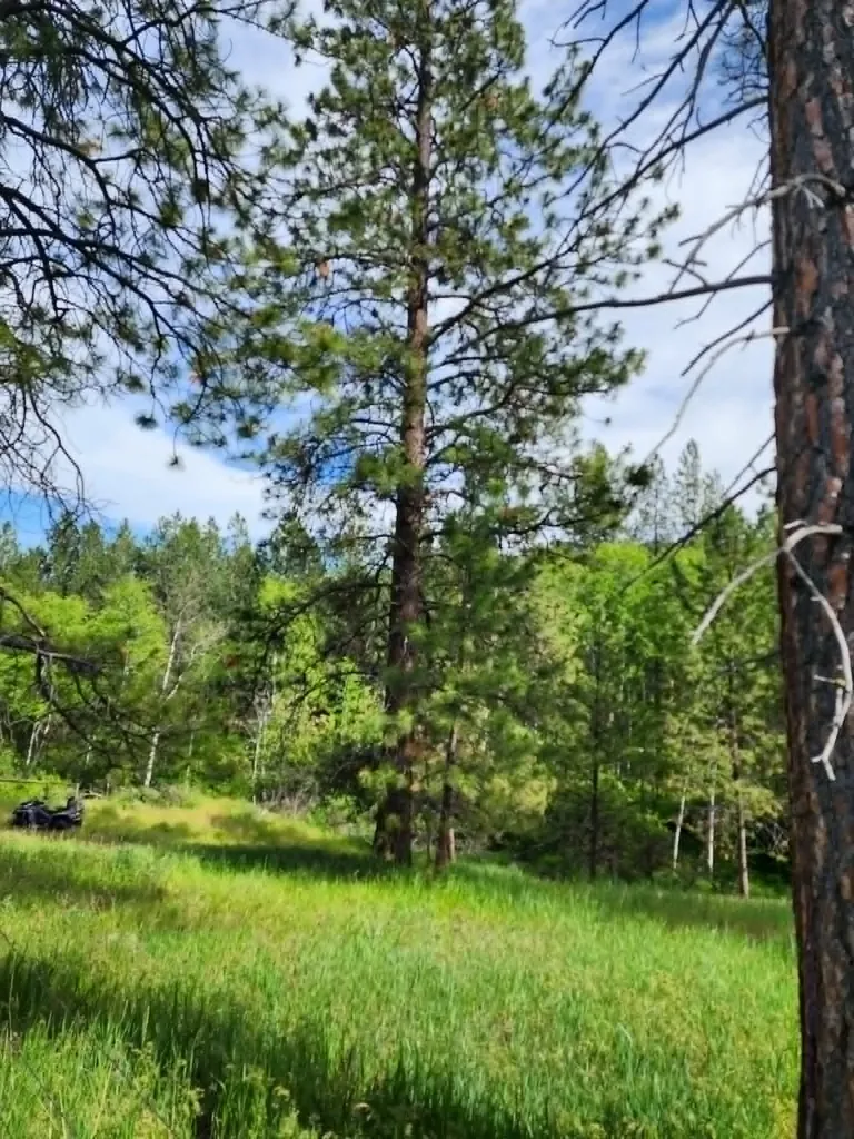Nhn Old Hot Springs Road Hot Springs MT 59845
