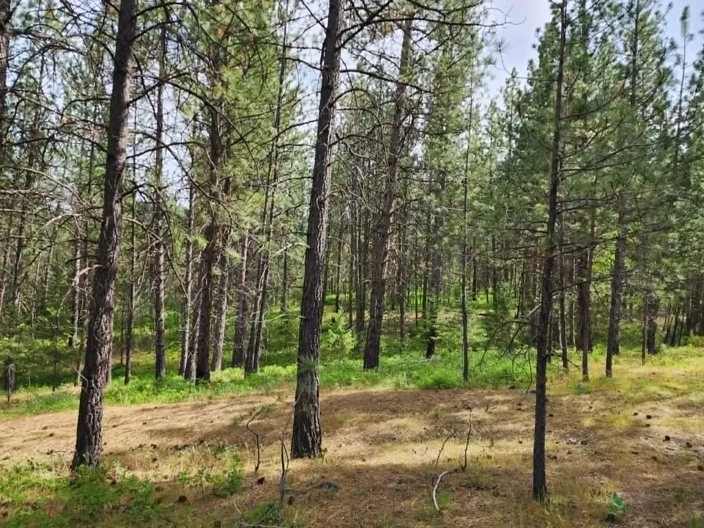 Nhn Old Hot Springs Road Hot Springs MT 59845