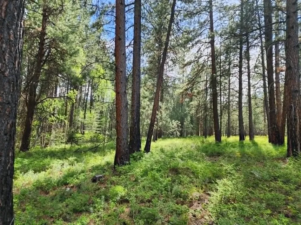 Nhn Old Hot Springs Road Hot Springs MT 59845
