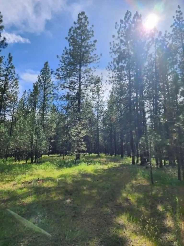 Nhn Old Hot Springs Road Hot Springs MT 59845