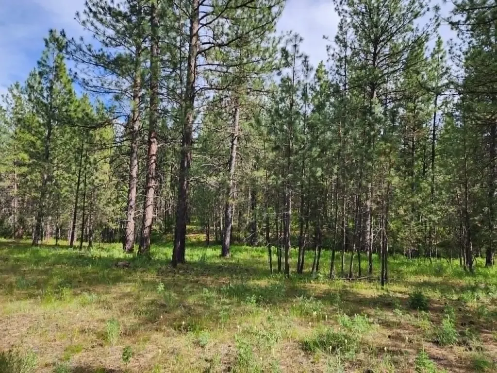 Nhn Stobie Lane Hot Springs MT 59845