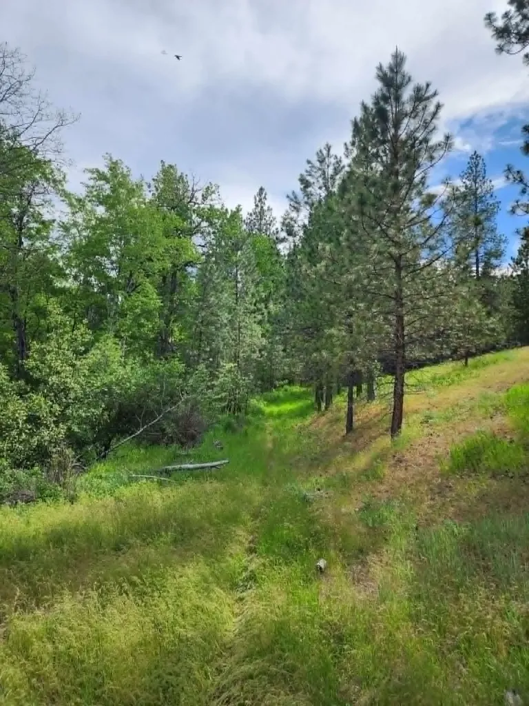 Nhn Old Hot Springs Road Hot Springs MT 59845
