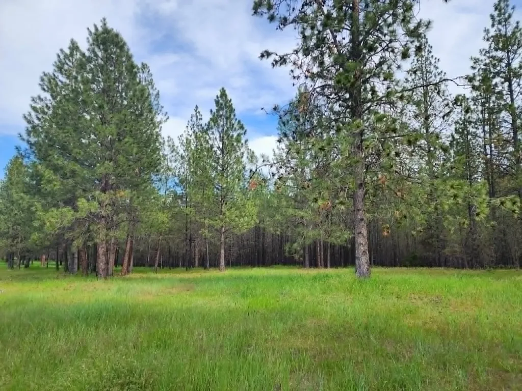 Nhn Old Hot Springs Road Hot Springs MT 59845