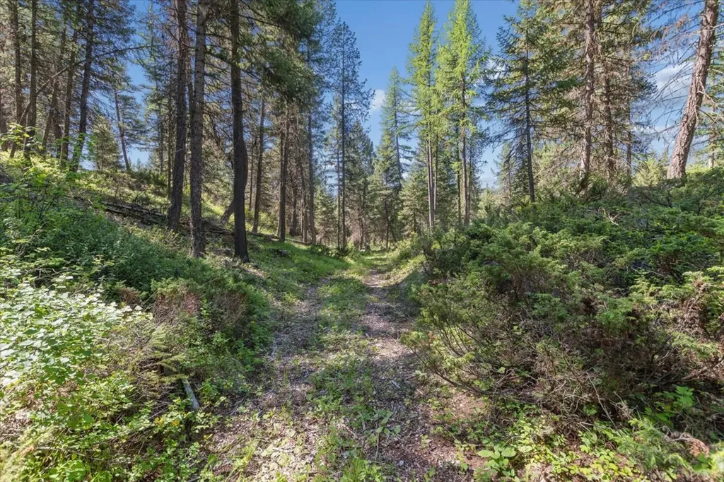 901 Twin Lakes Road Whitefish MT 59937