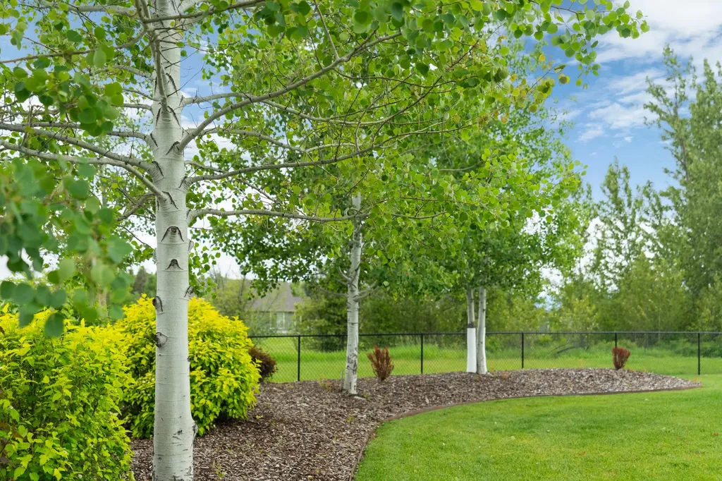 424 Soaring Pines Trail Kalispell MT 59901