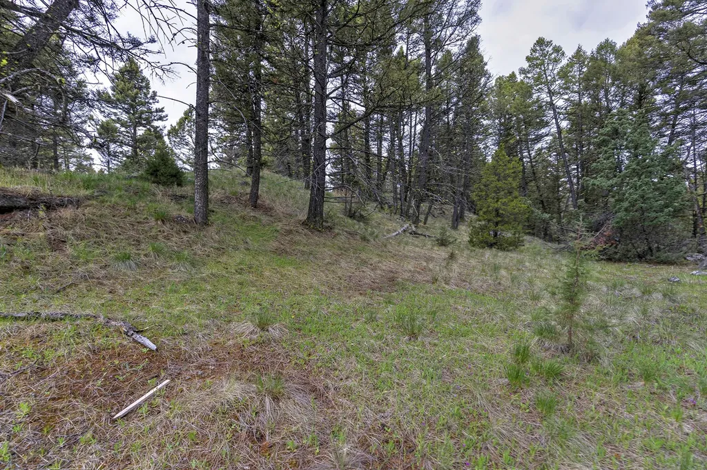 958 Pauly Drive Deer Lodge MT 59722