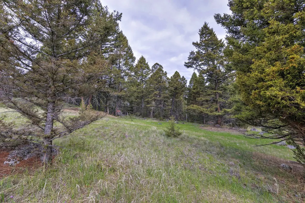 958 Pauly Drive Deer Lodge MT 59722