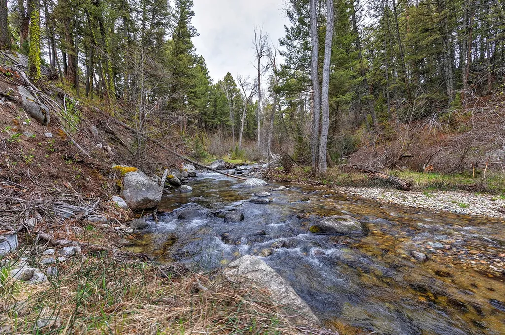 958 Pauly Drive Deer Lodge MT 59722