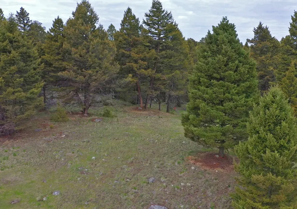 958 Pauly Drive Deer Lodge MT 59722
