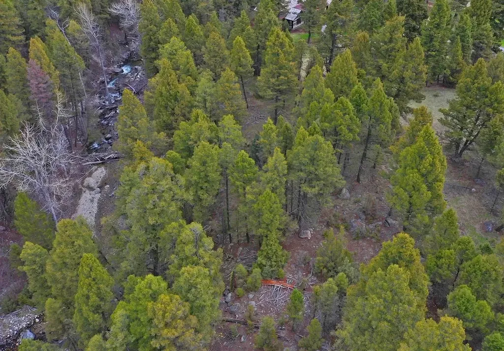 958 Pauly Drive Deer Lodge MT 59722