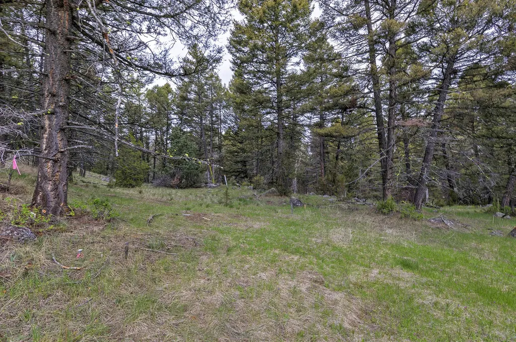 958 Pauly Drive Deer Lodge MT 59722