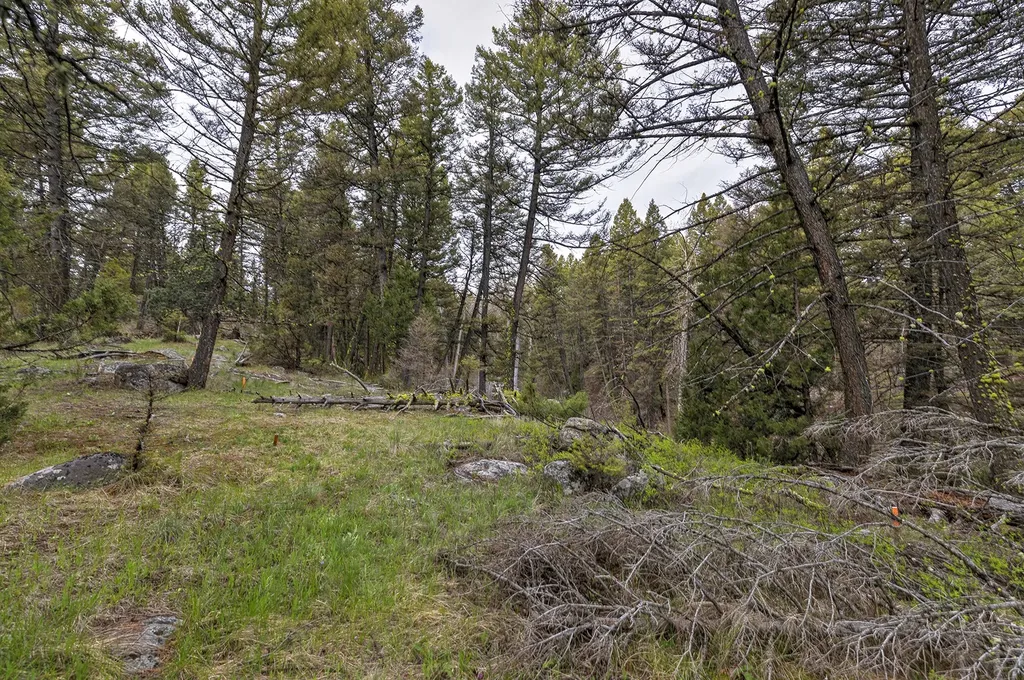 958 Pauly Drive Deer Lodge MT 59722