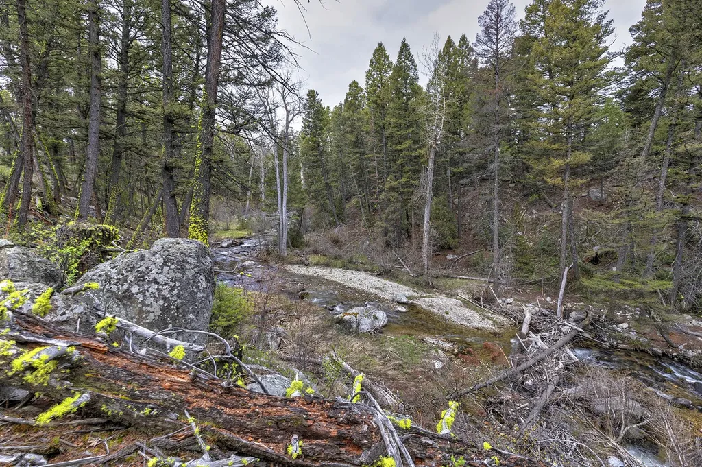 958 Pauly Drive Deer Lodge MT 59722