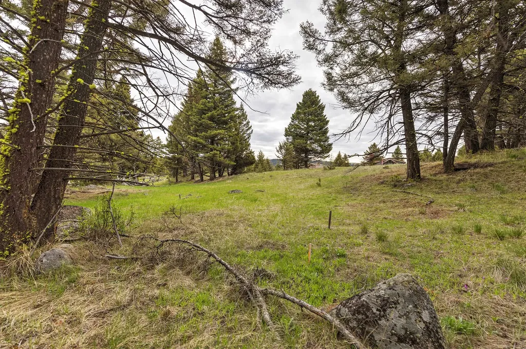 958 Pauly Drive Deer Lodge MT 59722