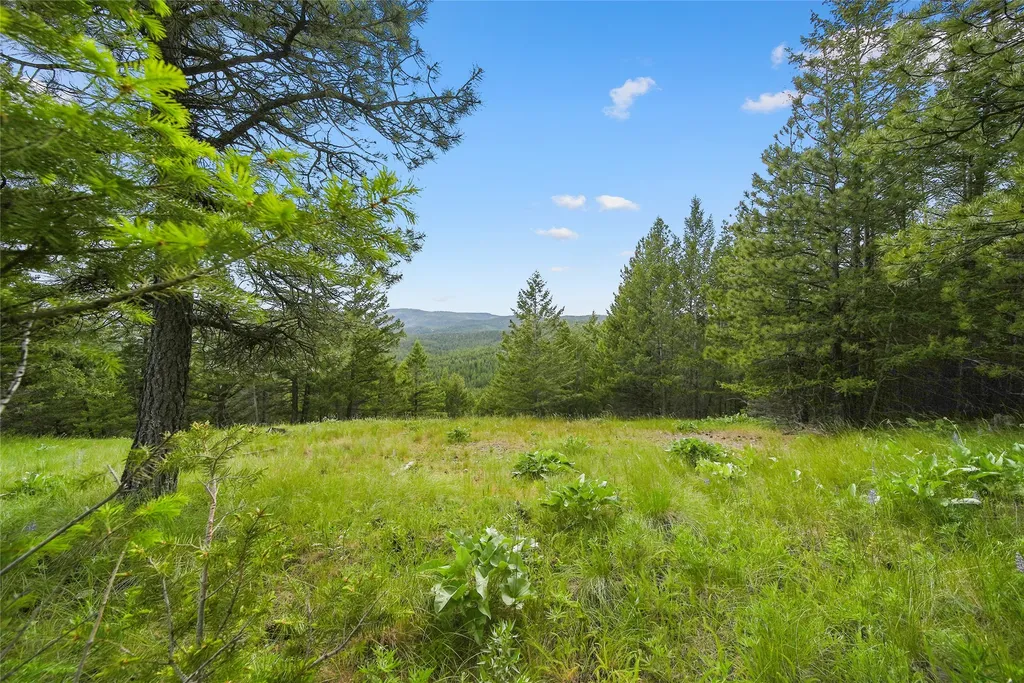 1895 Kienas Road Kalispell MT 59901
