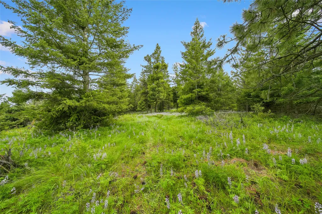1895 Kienas Road Kalispell MT 59901