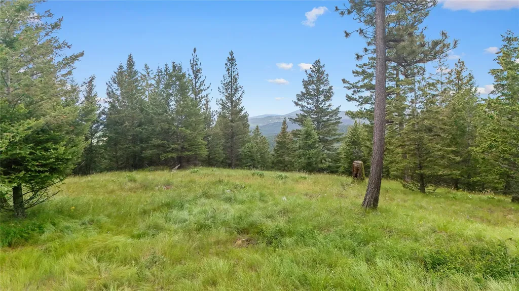 1895 Kienas Road Kalispell MT 59901