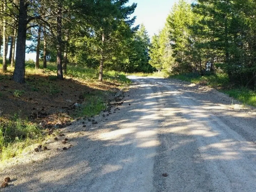 1895 Kienas Road Kalispell MT 59901