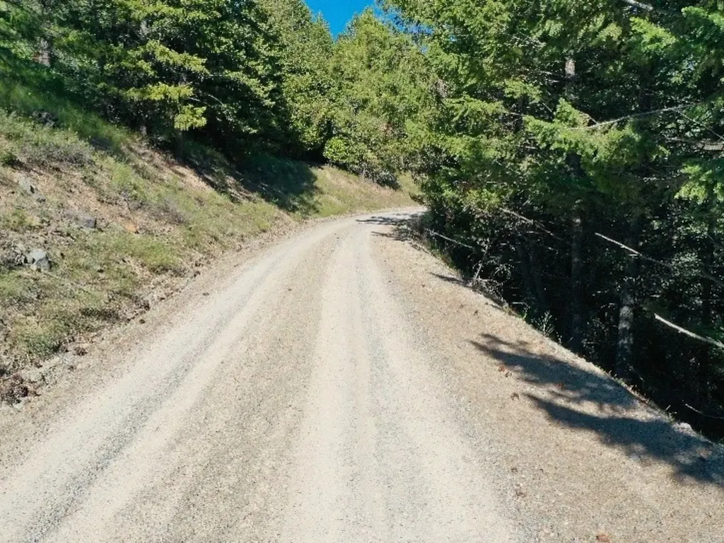 1895 Kienas Road Kalispell MT 59901