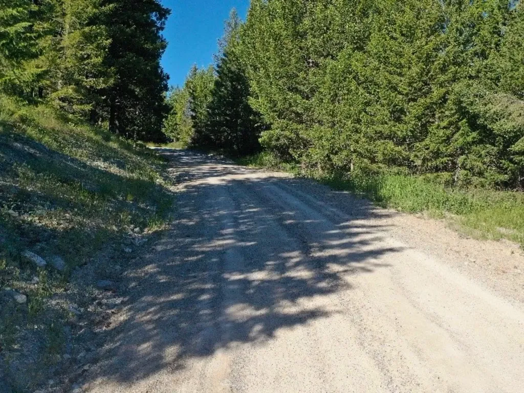 1895 Kienas Road Kalispell MT 59901