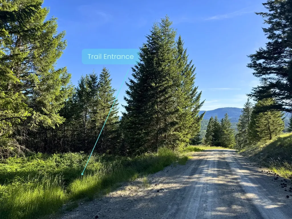 1895 Kienas Road Kalispell MT 59901