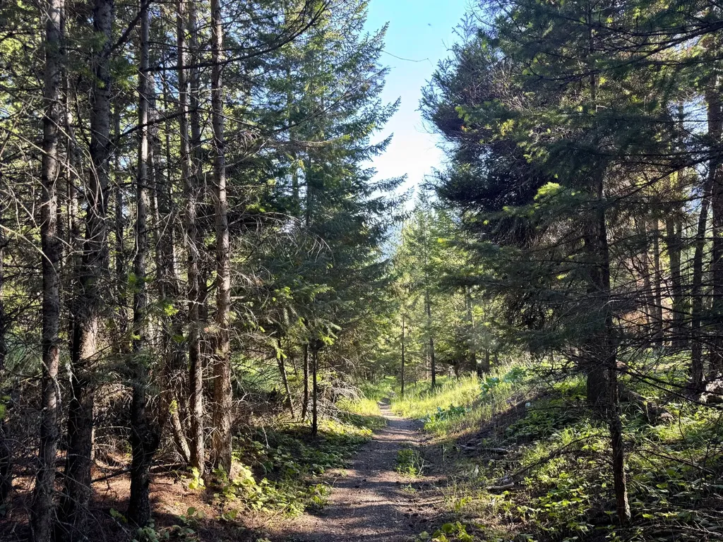 1895 Kienas Road Kalispell MT 59901