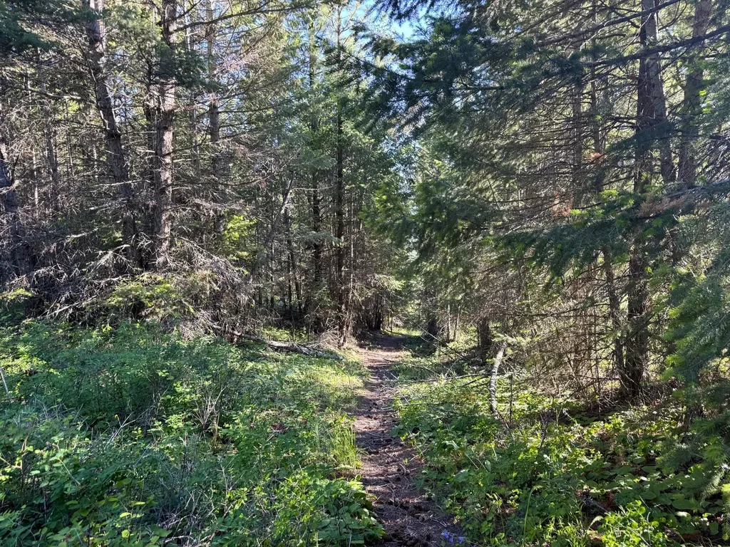 1895 Kienas Road Kalispell MT 59901