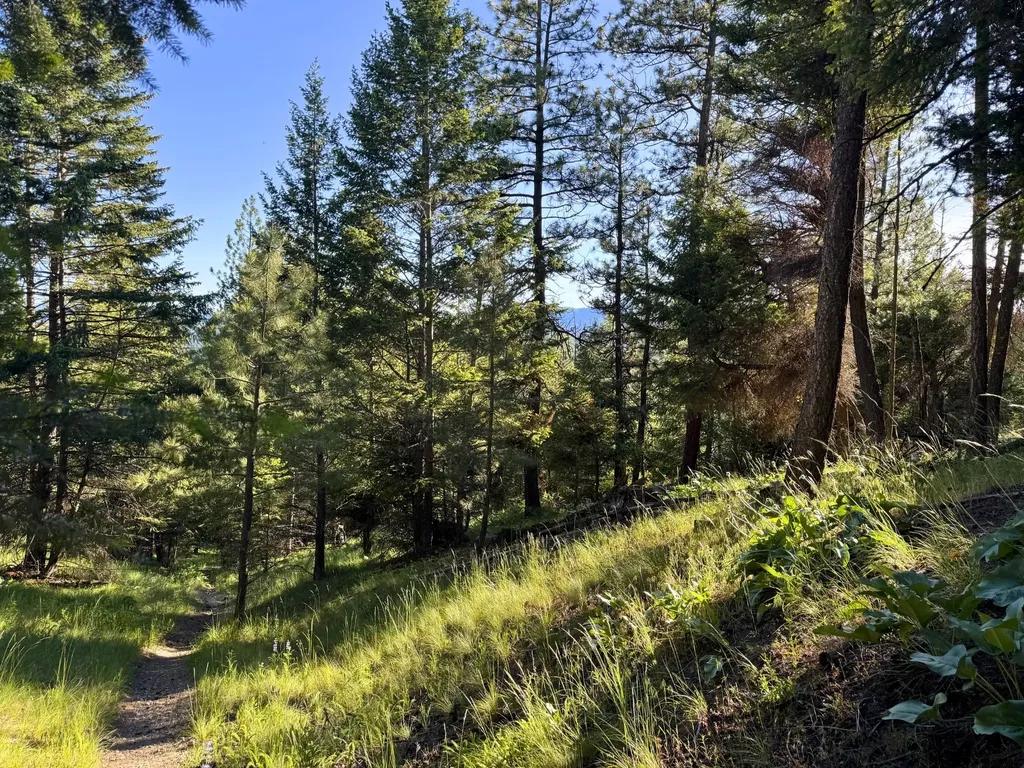 1895 Kienas Road Kalispell MT 59901