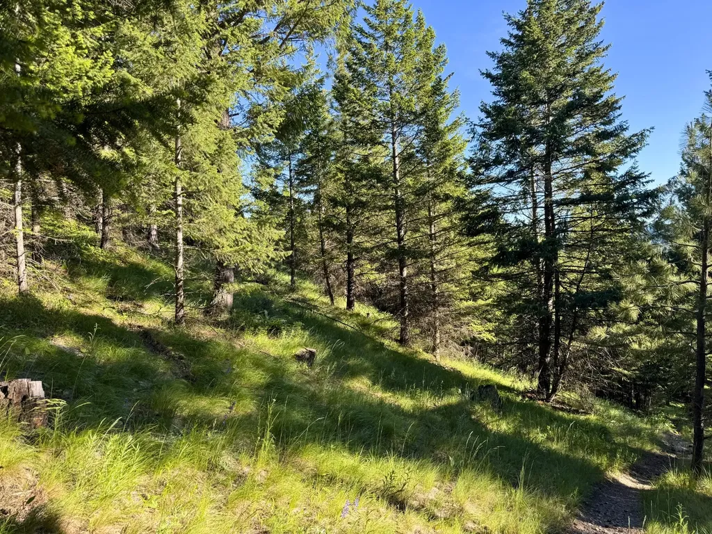 1895 Kienas Road Kalispell MT 59901