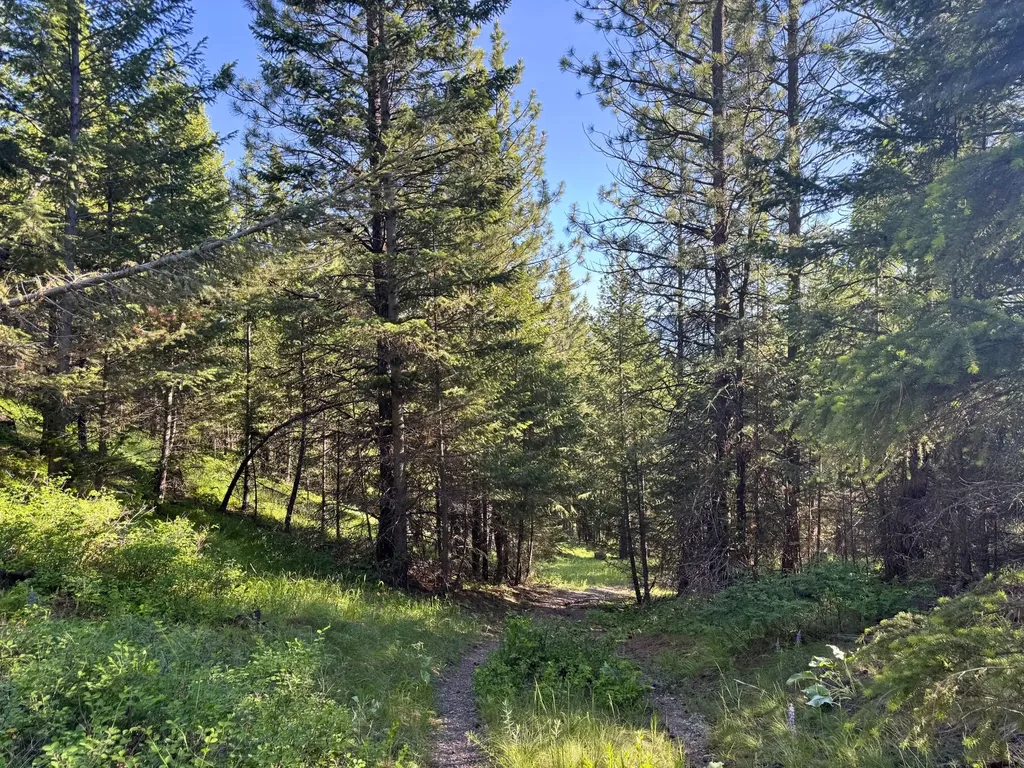 1895 Kienas Road Kalispell MT 59901
