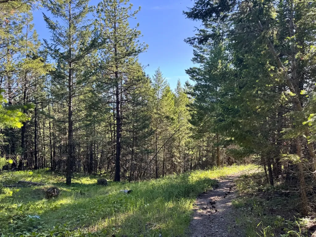 1895 Kienas Road Kalispell MT 59901