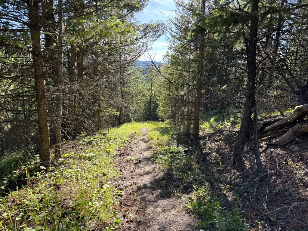 1895 Kienas Road Kalispell MT 59901